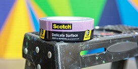 Delicate Surfaces
